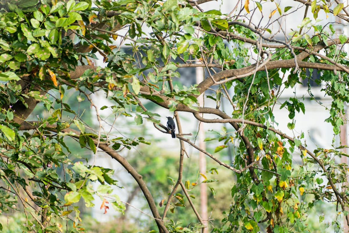 Karjat photo 4
