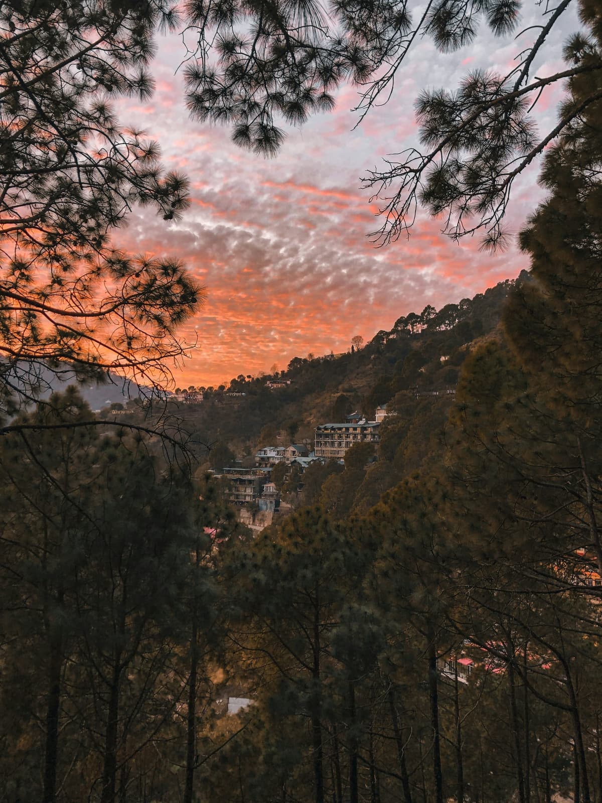 Kasauli photo 3