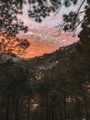 Kasauli 2