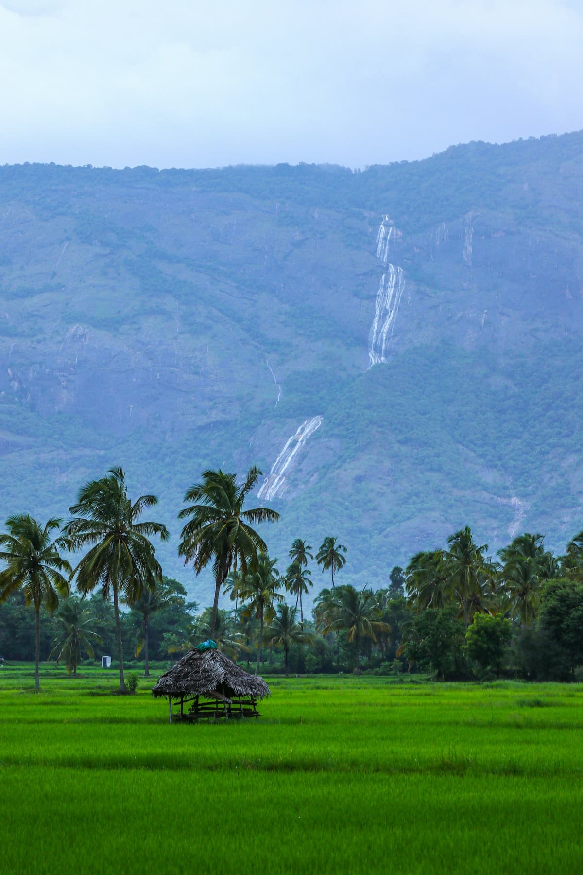 Kerala photo 2