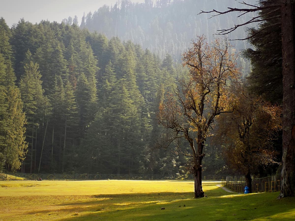Khajjiar photo 4