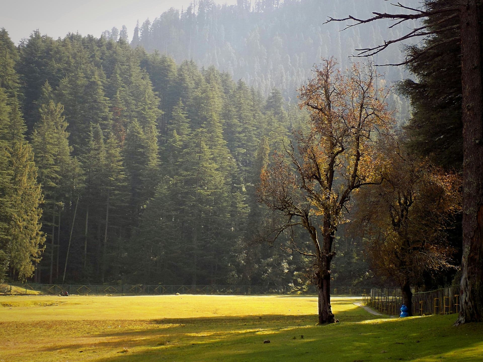 Khajjiar photo 4