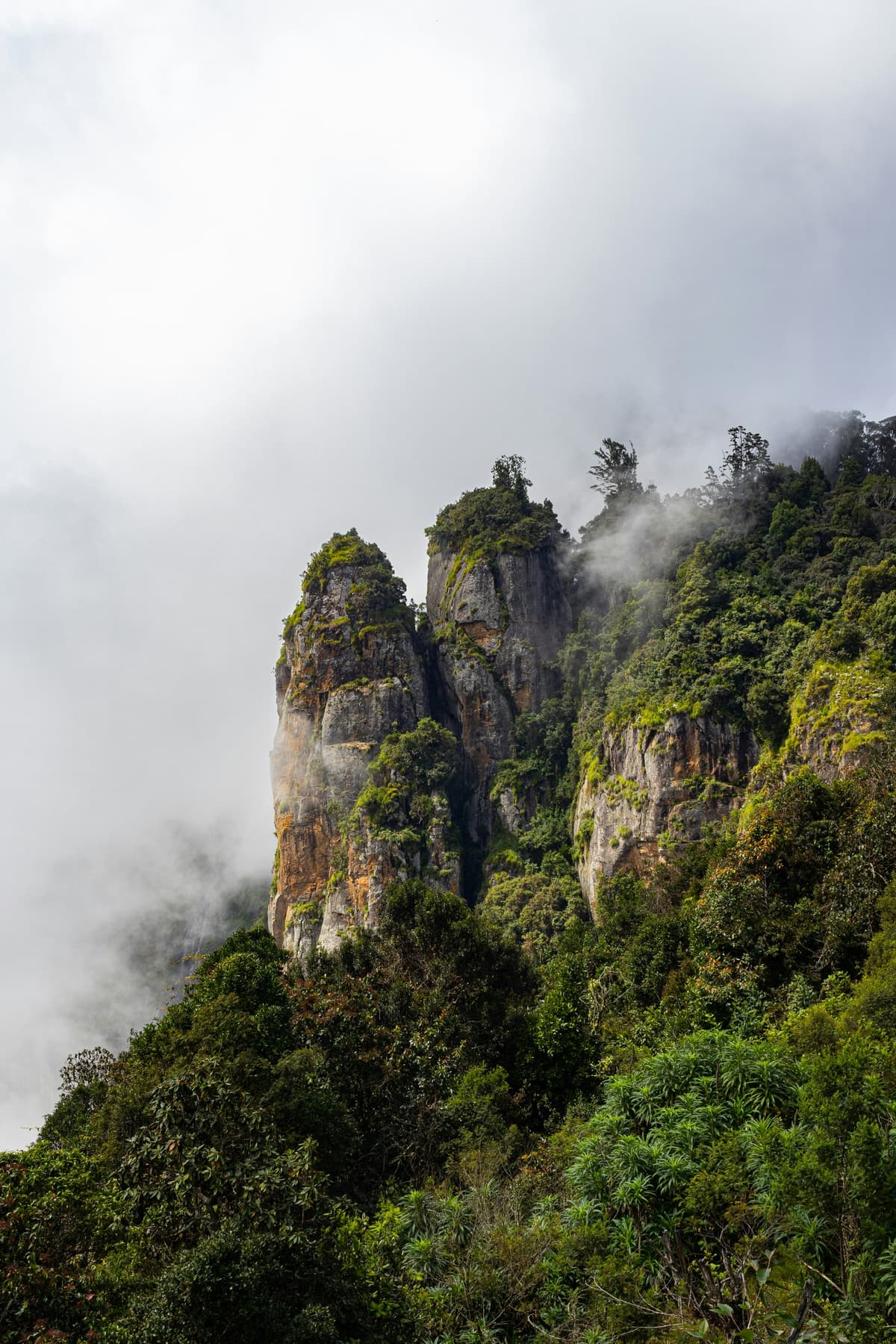 Kodaikanal photo 4