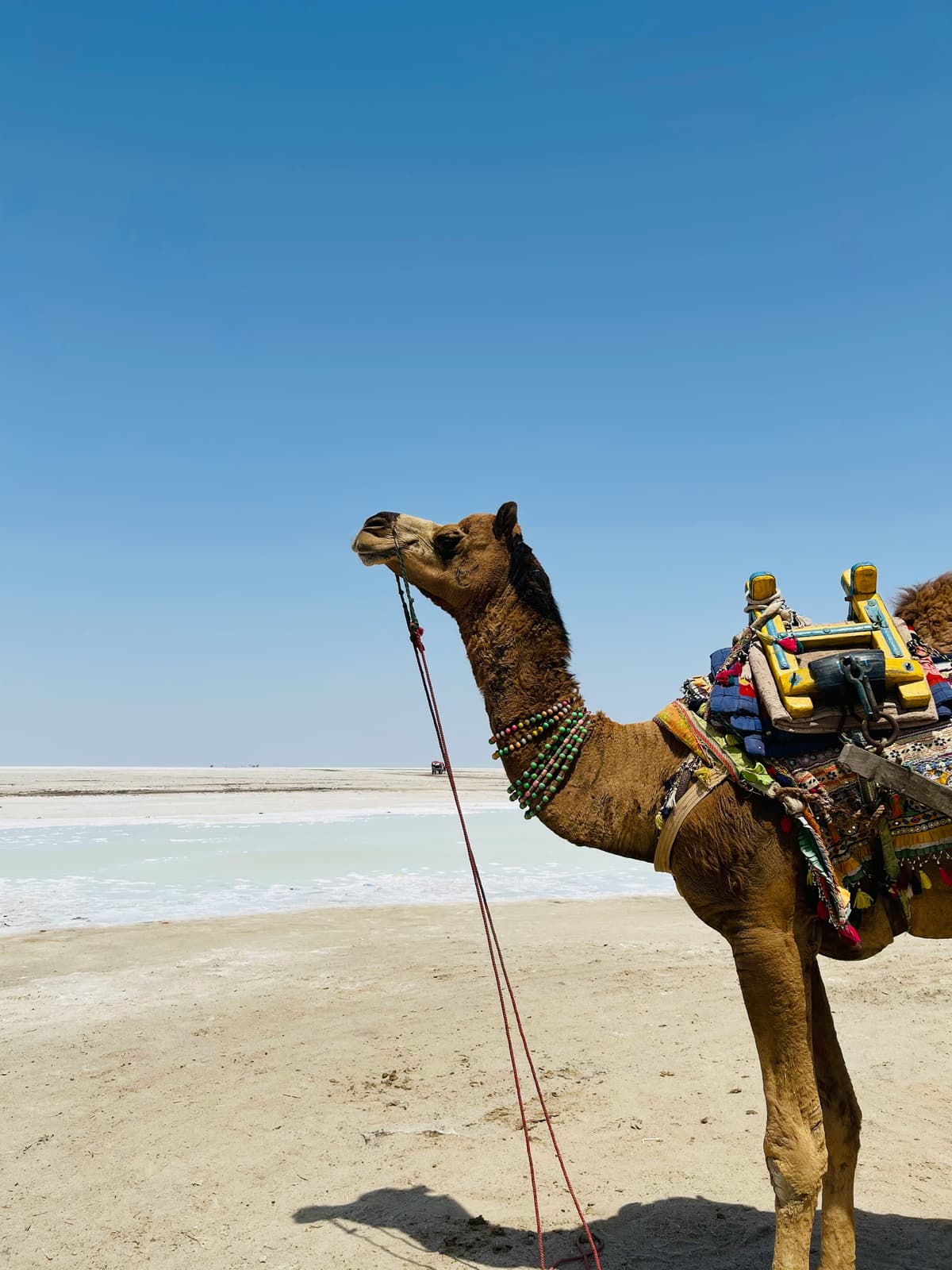 Kutch photo 3