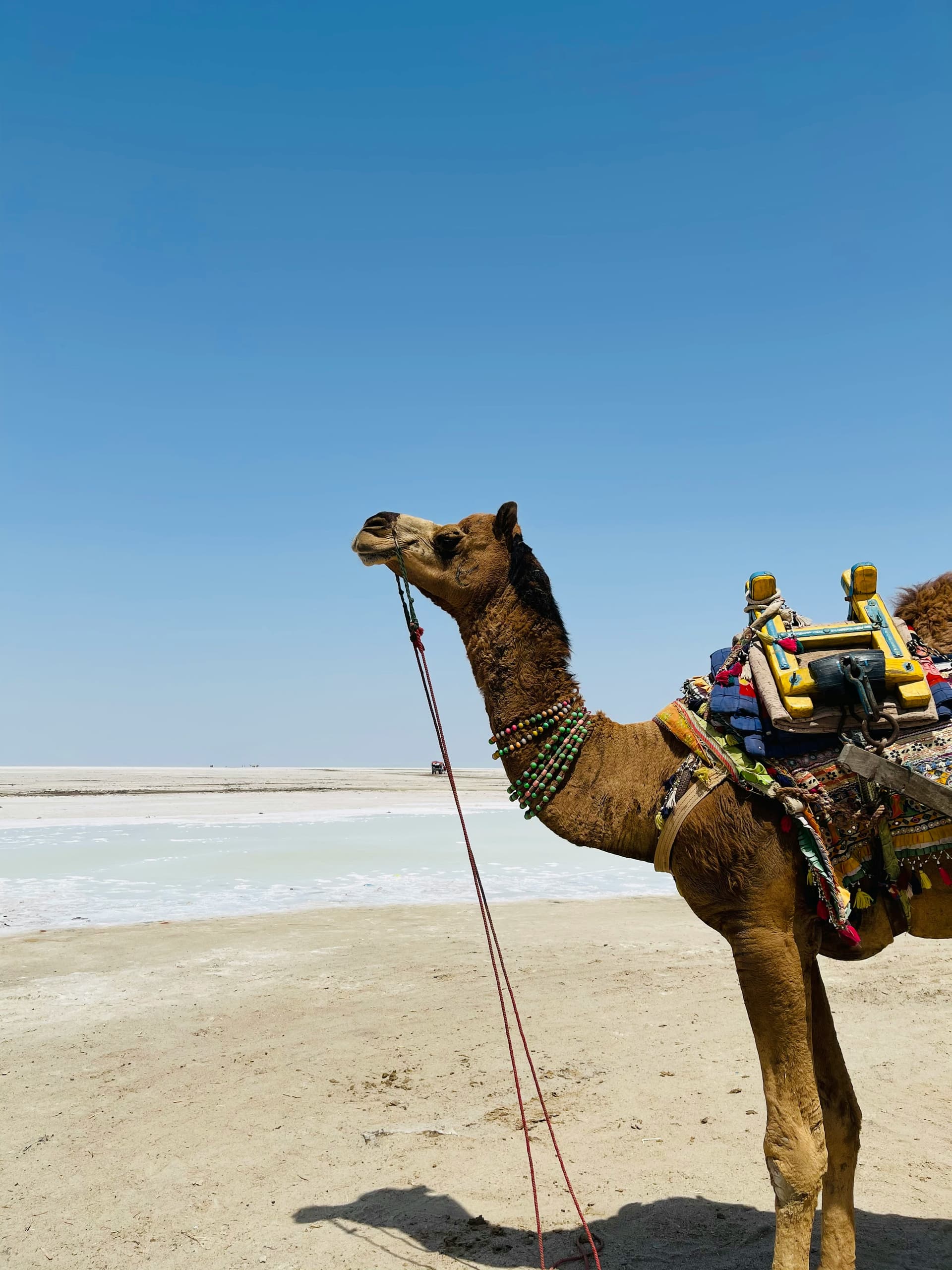 Kutch photo 3