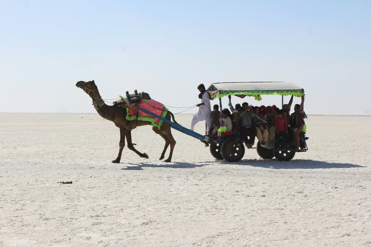 Kutch photo 4