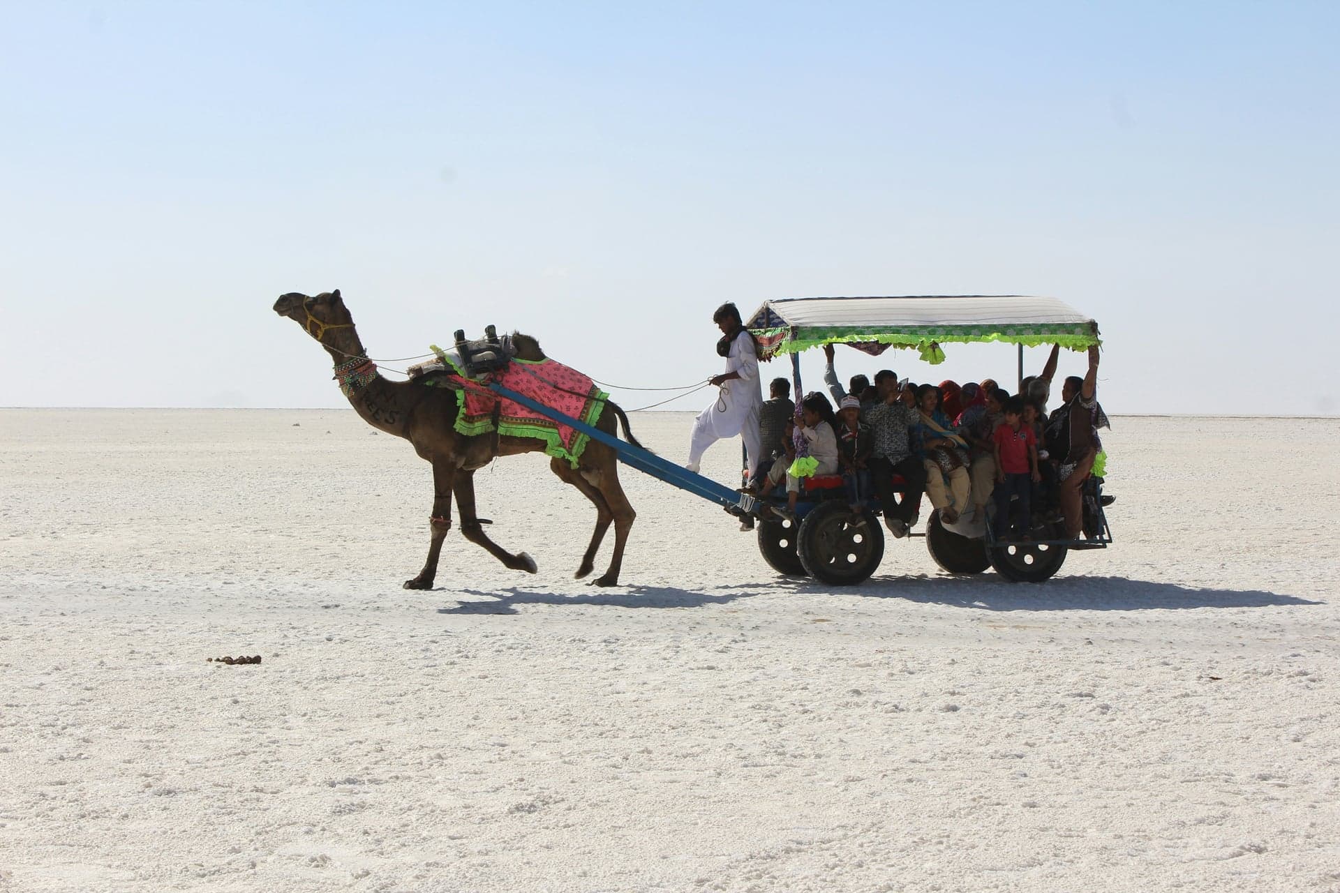 Kutch photo 4