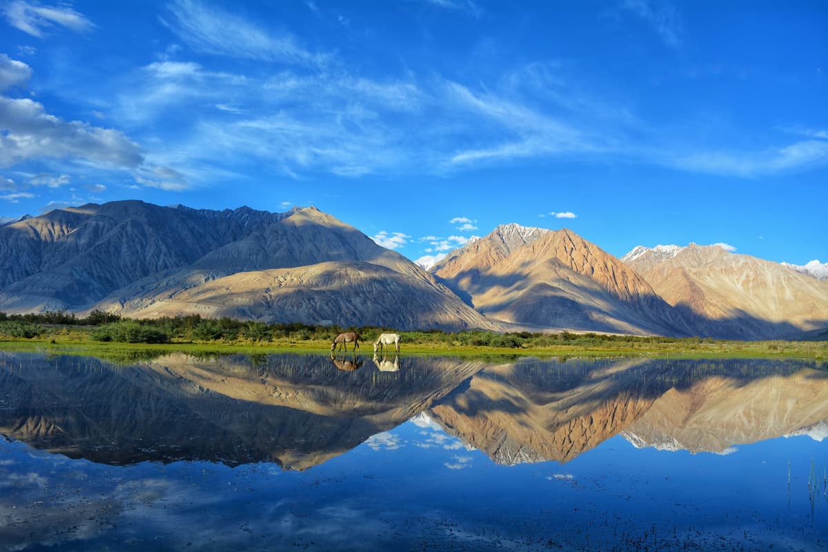 Ladakh photo 4