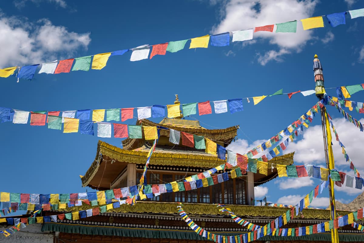 Leh: The Land of High Passes photo 2