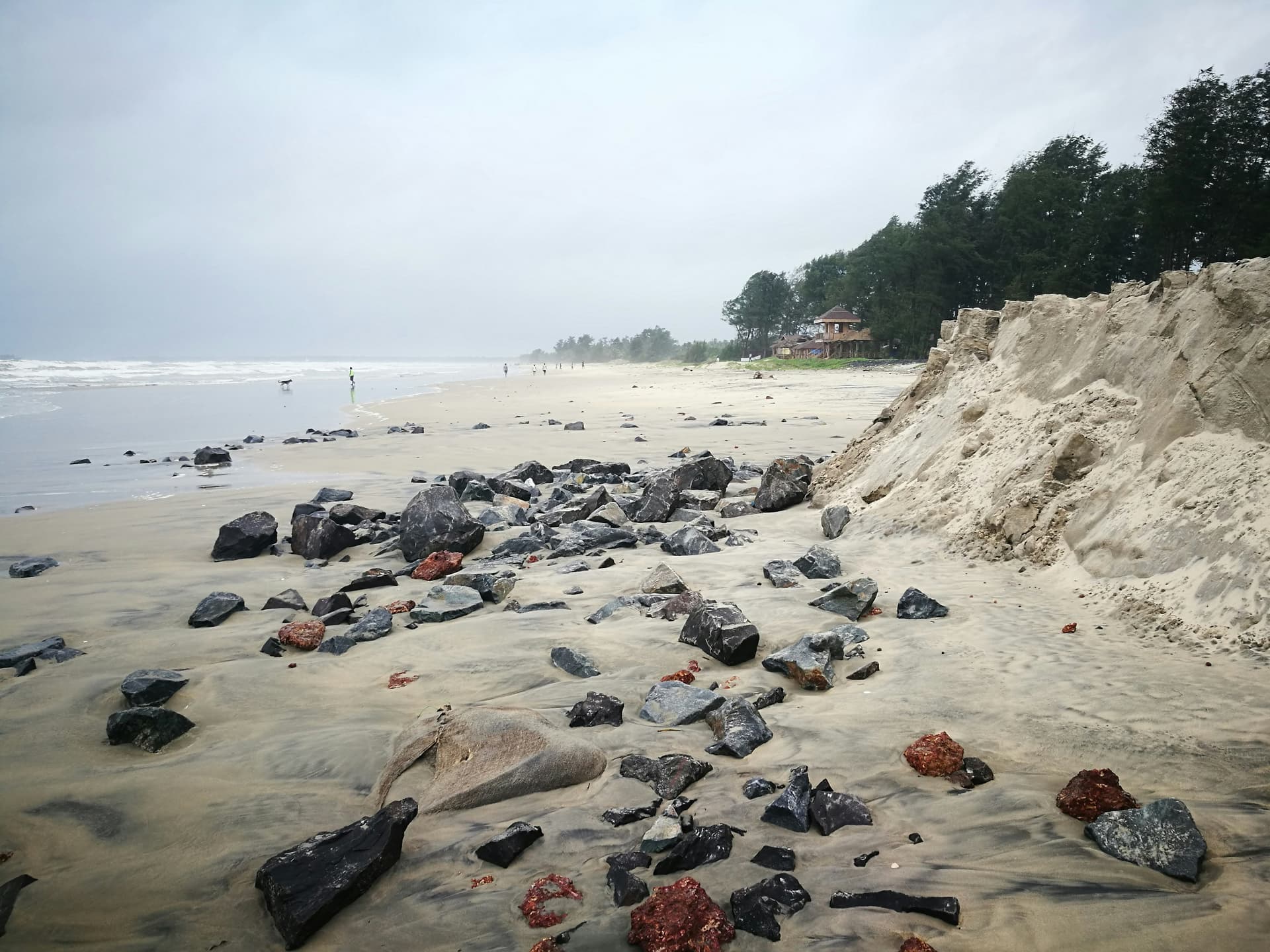 Malvan photo 3
