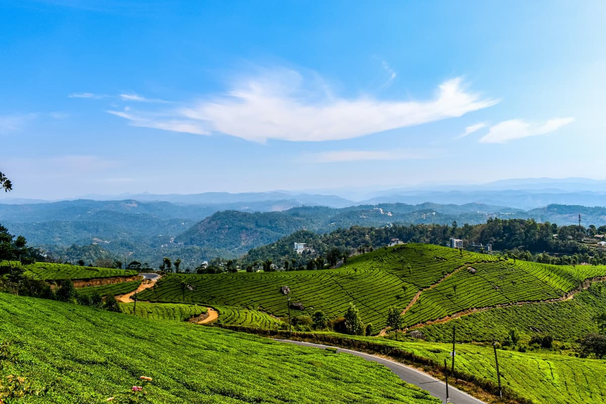 Munnar: The Kashmir of South India photo 2