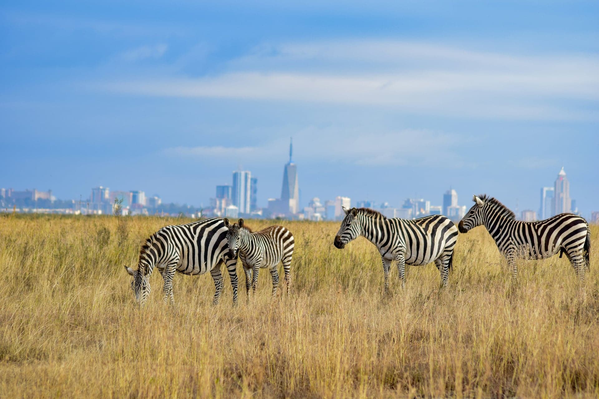 Nairobi, Kenya photo 3