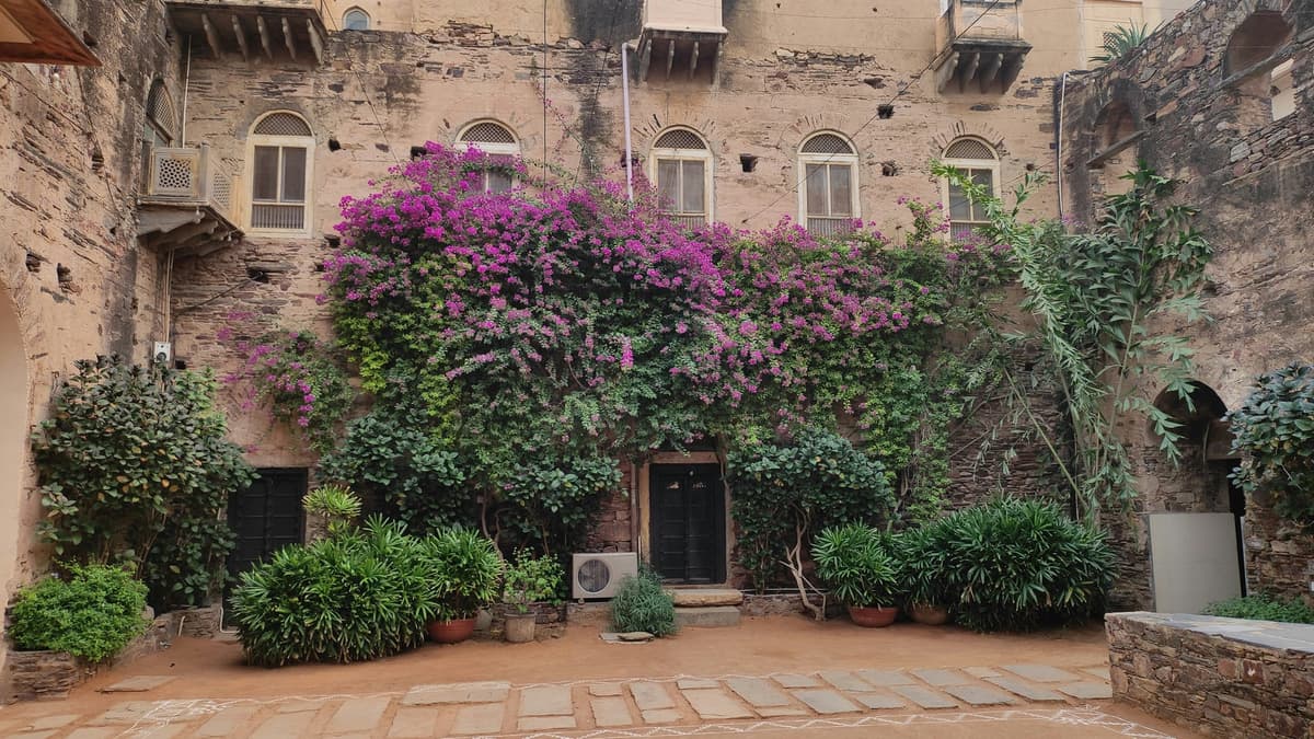 Neemrana photo 3
