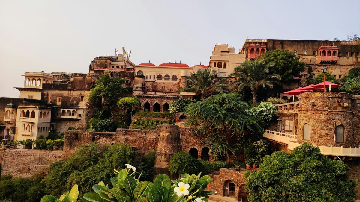 Neemrana photo 4