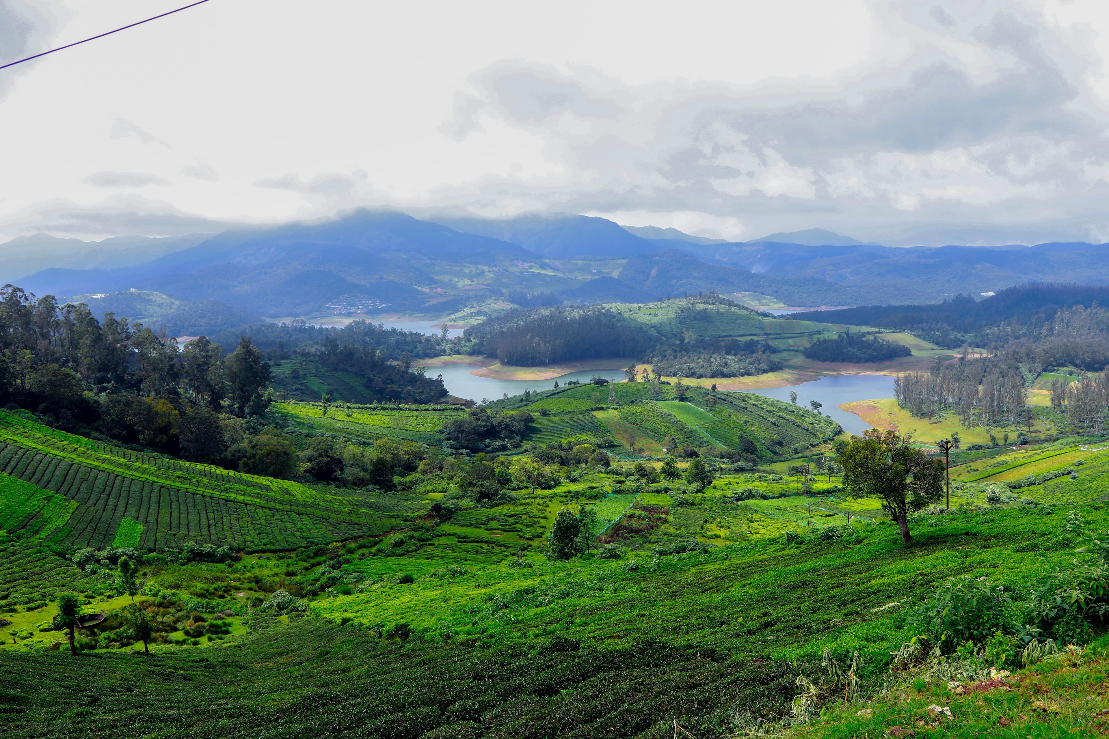 Ooty 2