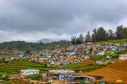 Ooty 3