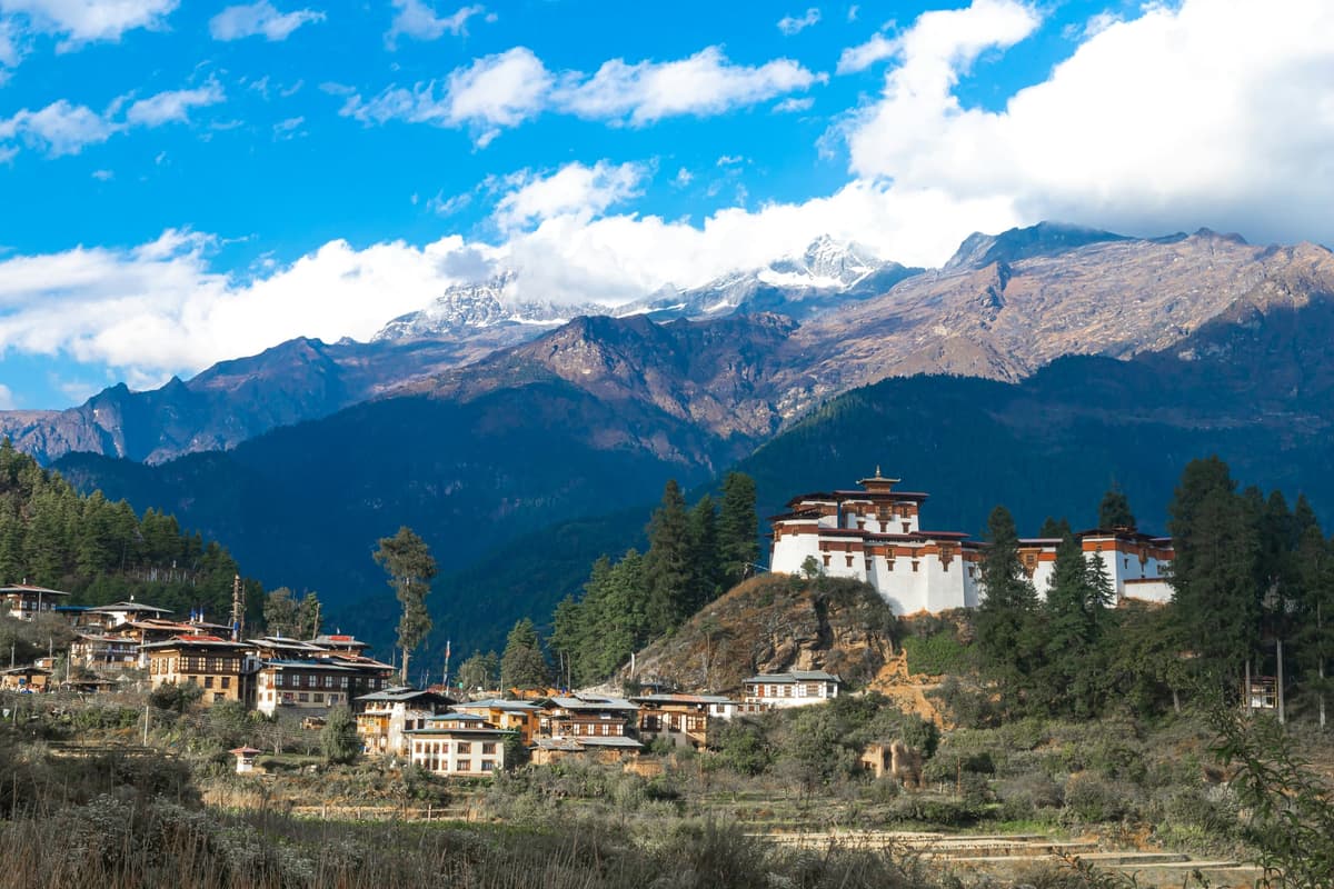 Paro photo 2