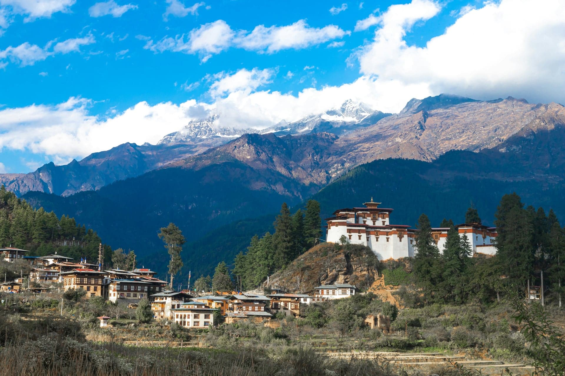 Paro photo 2