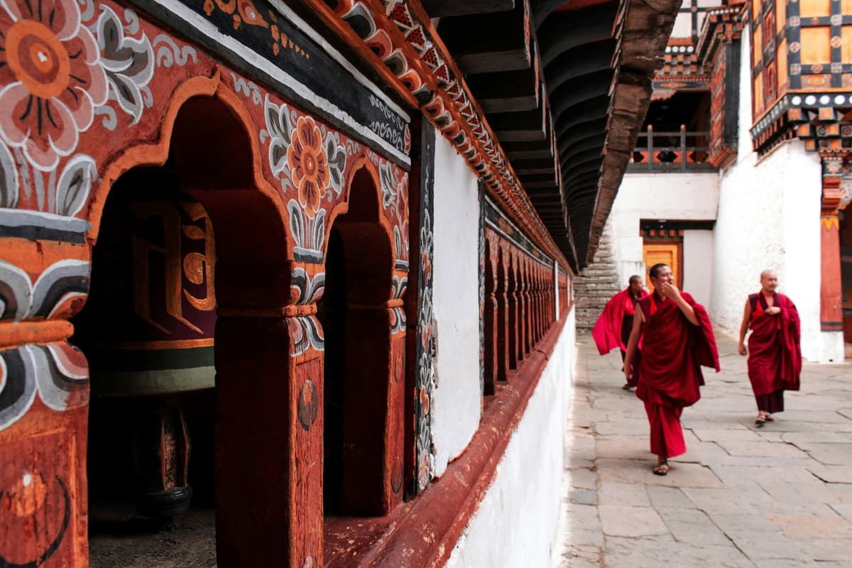 Paro photo 3