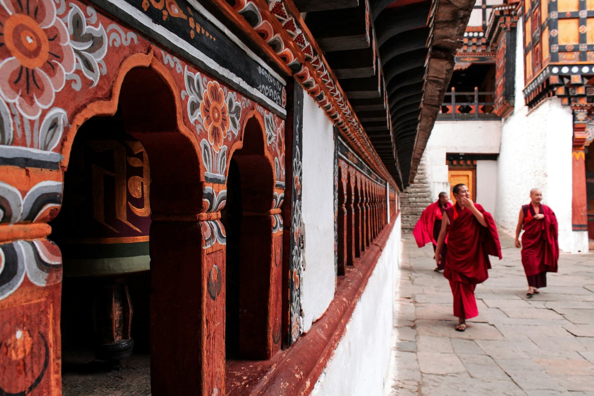 Paro photo 3