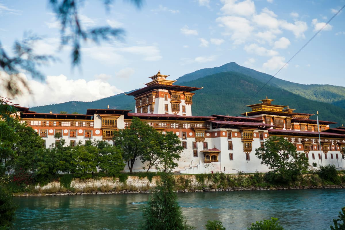 Paro photo 4