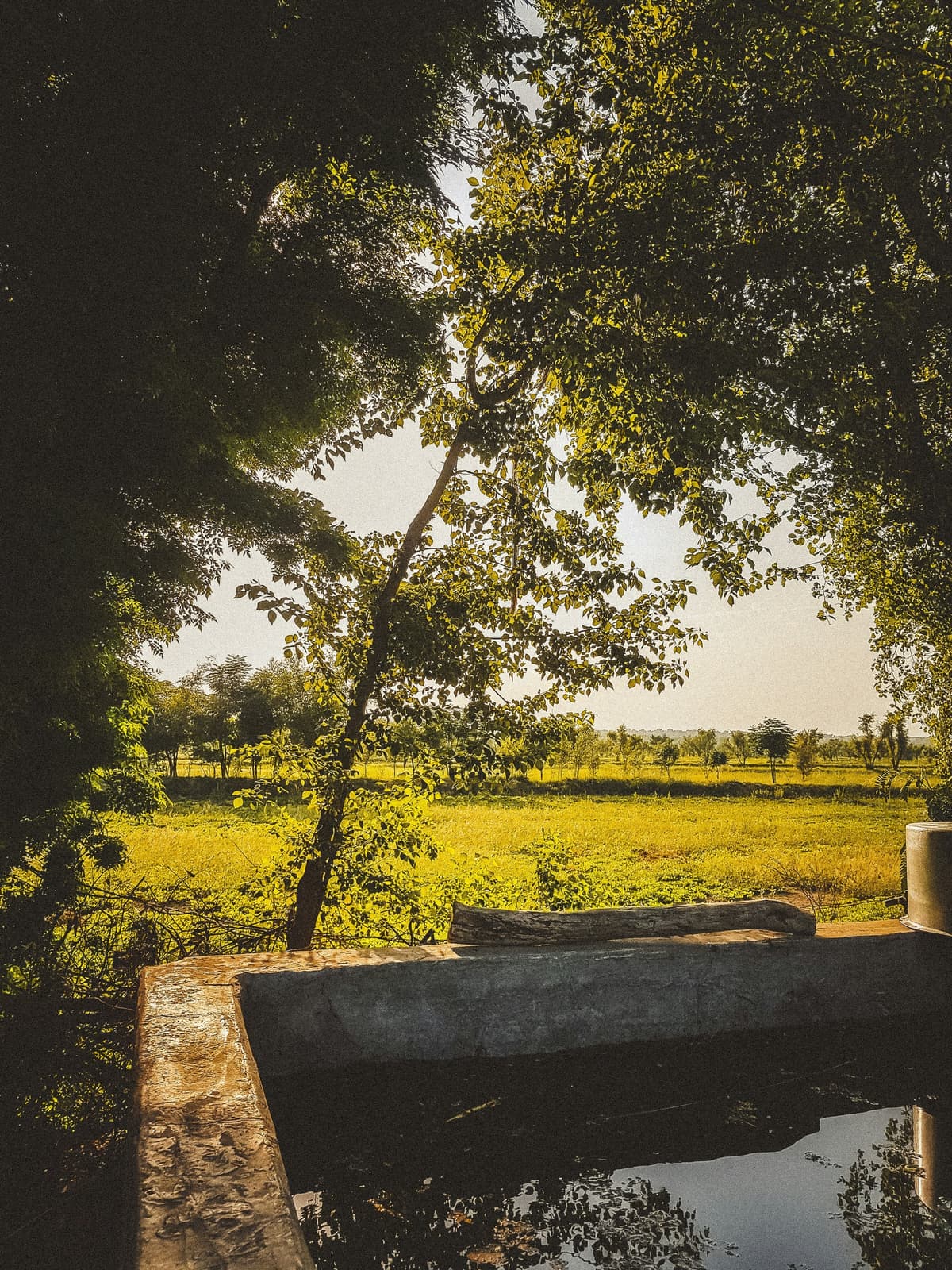 Punjab: Land of Five Rivers photo 2