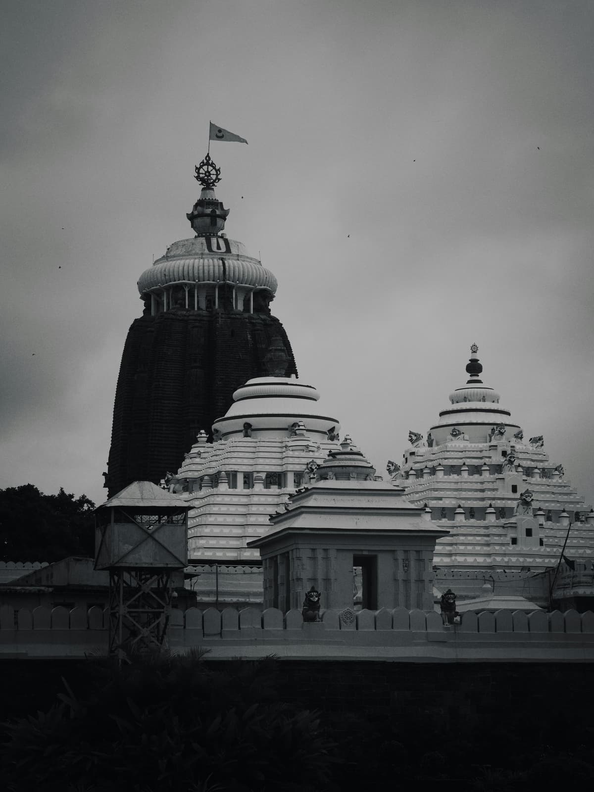 Puri photo 2