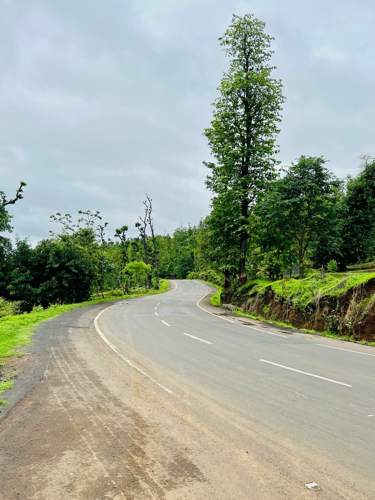 Saputara photo 4