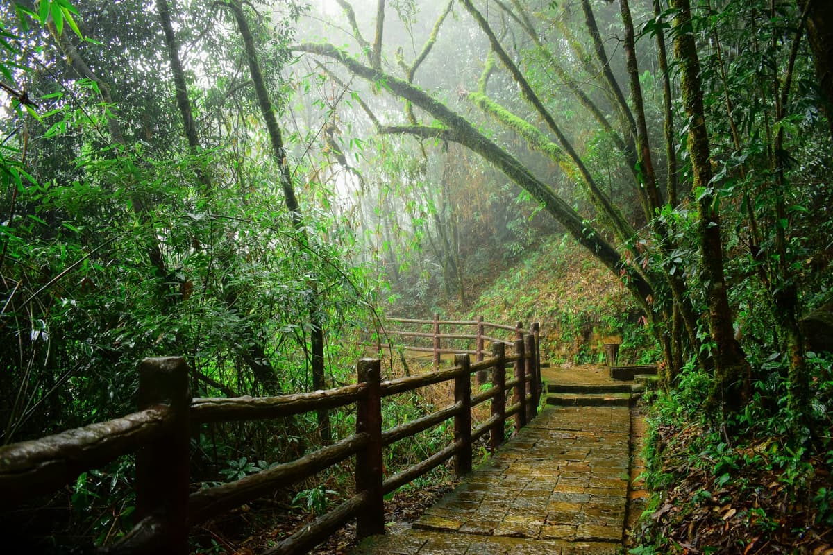 Shillong, Scotland of the East photo 3