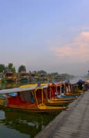 Srinagar 3