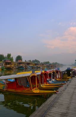 Srinagar 3