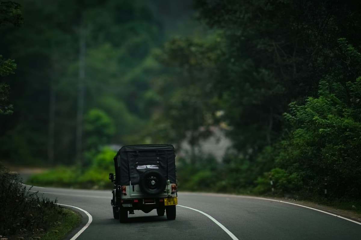 Thekkady photo 2