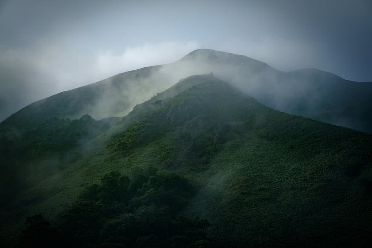 Thekkady photo 3