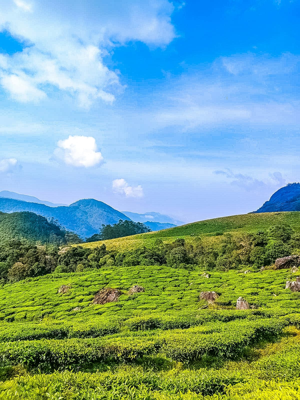 Thekkady photo 4
