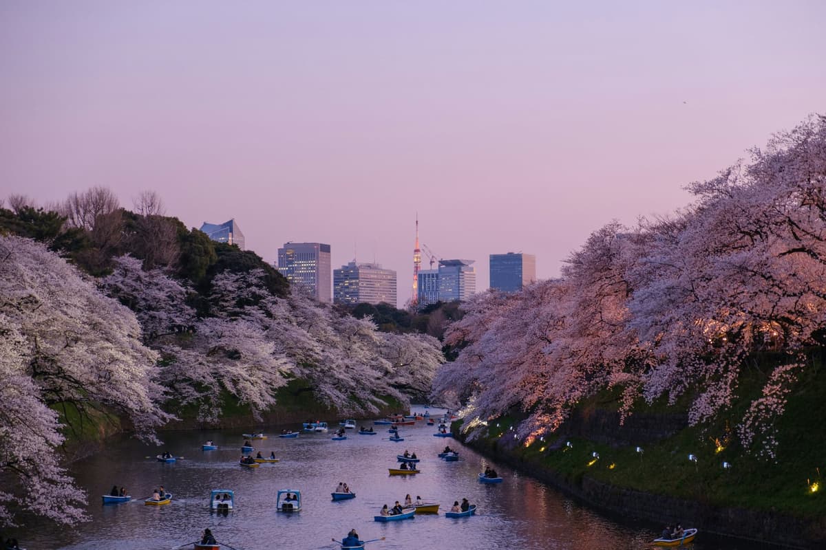 Tokyo photo 4