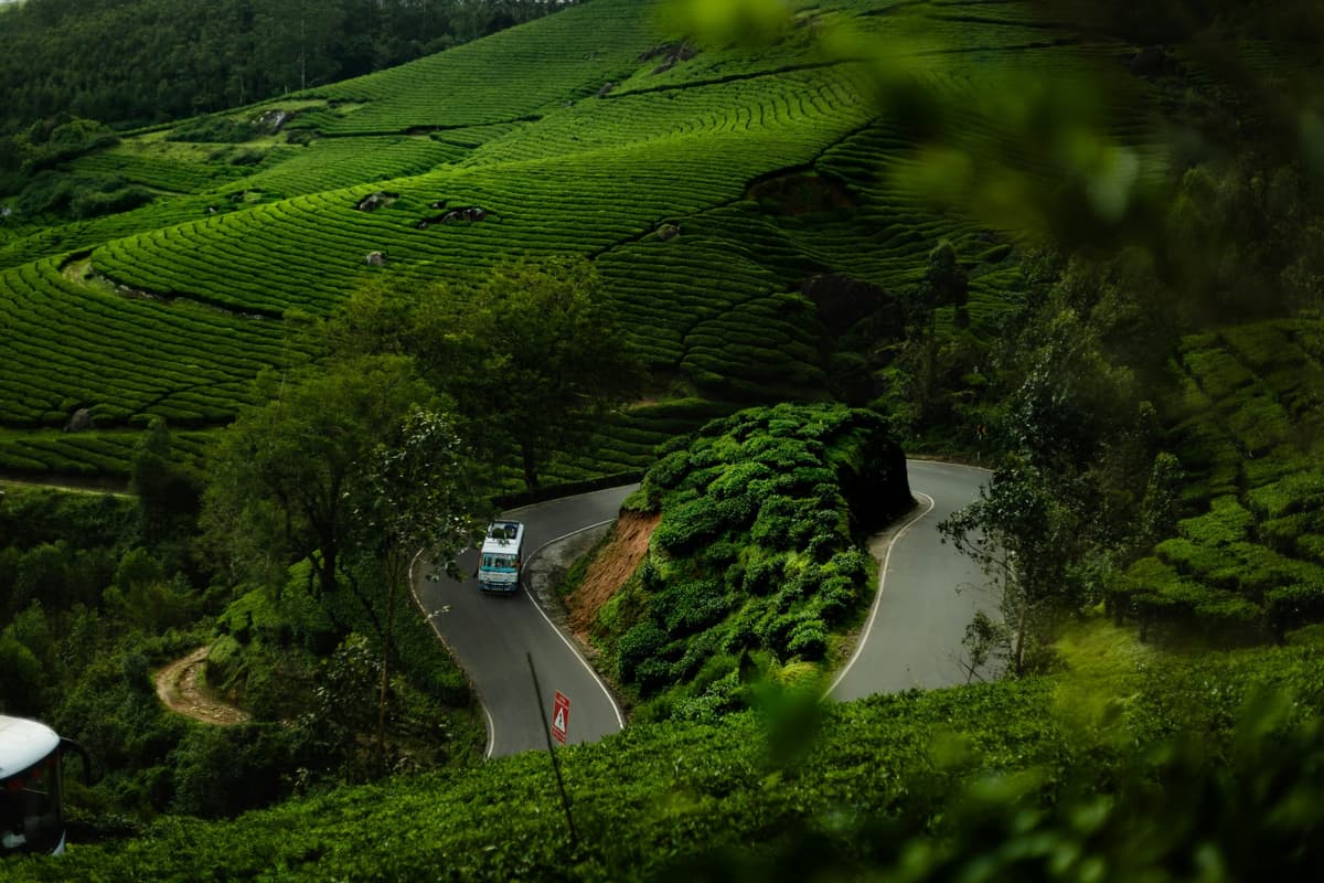 Wayanad: The Green Paradise of Kerala photo 3