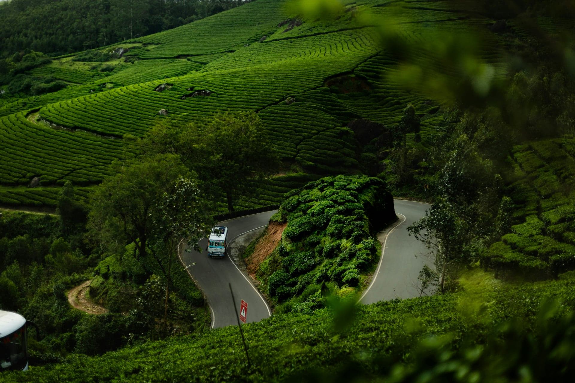 Wayanad: The Green Paradise of Kerala photo 3