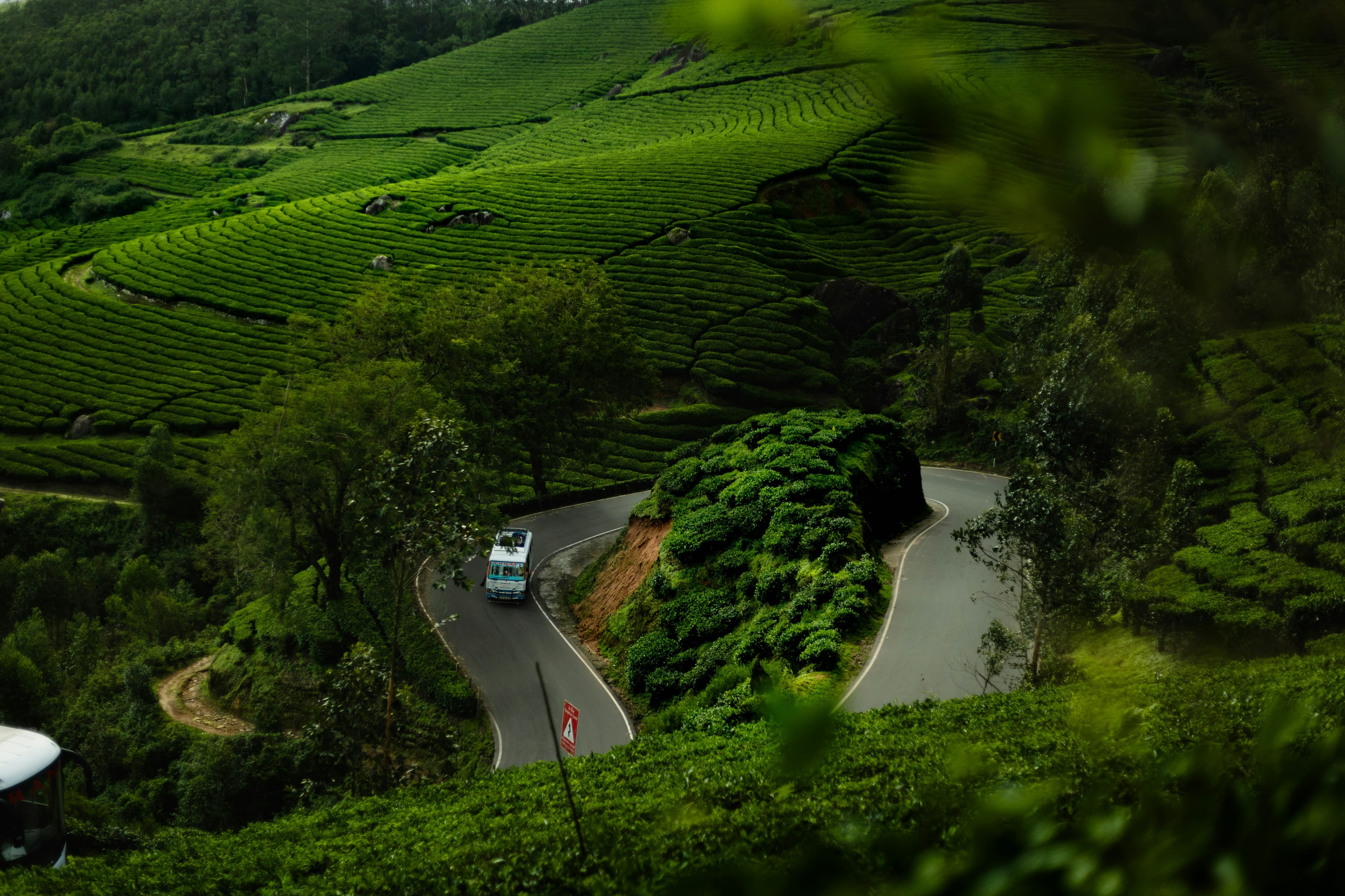 Wayanad 2