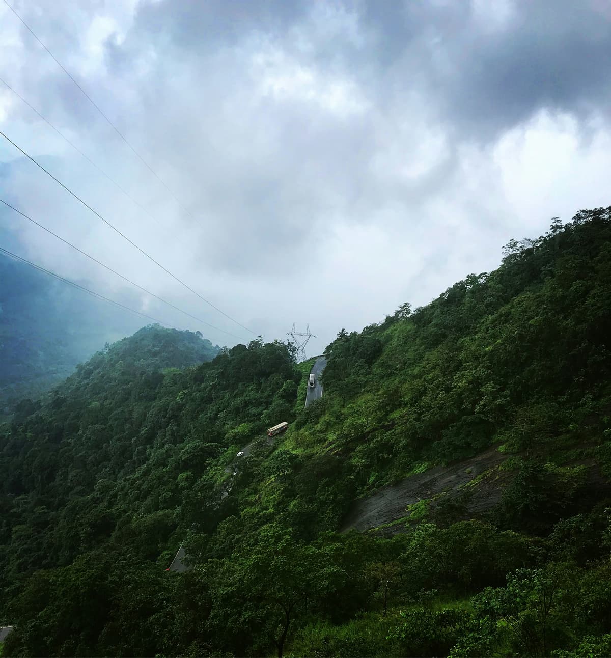Wayanad: The Green Paradise of Kerala photo 4