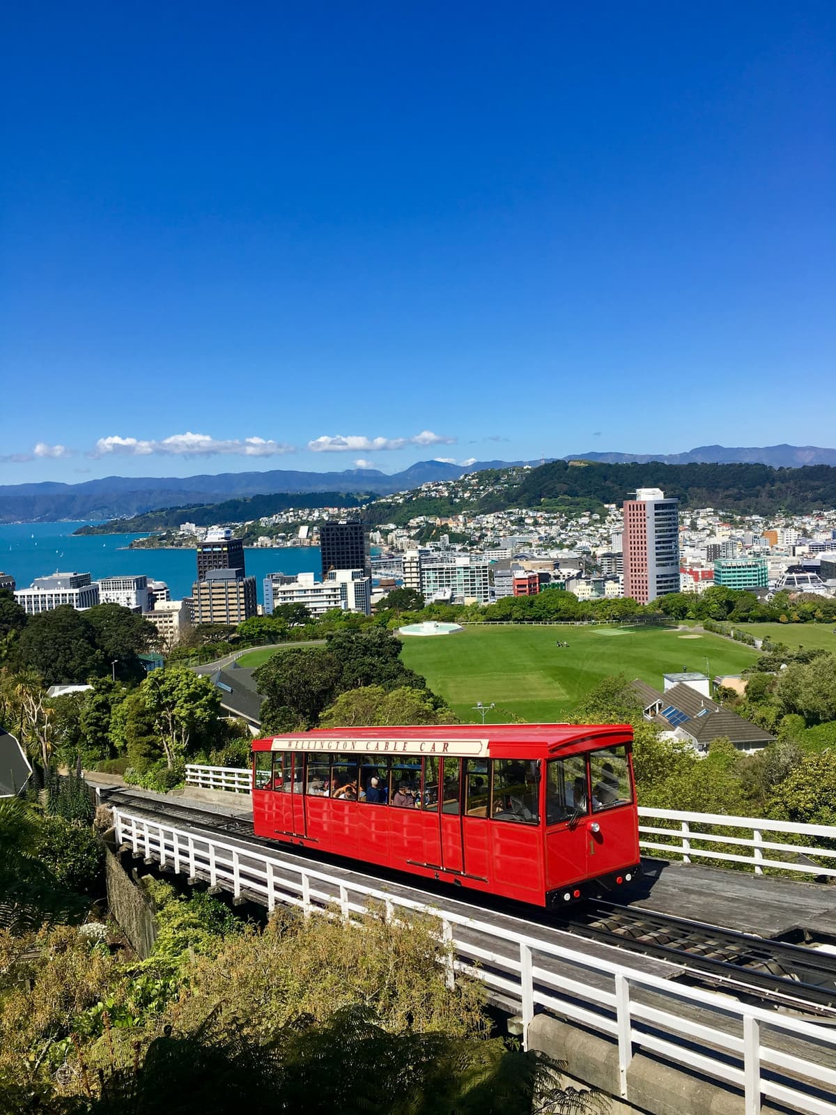 Wellington photo 2