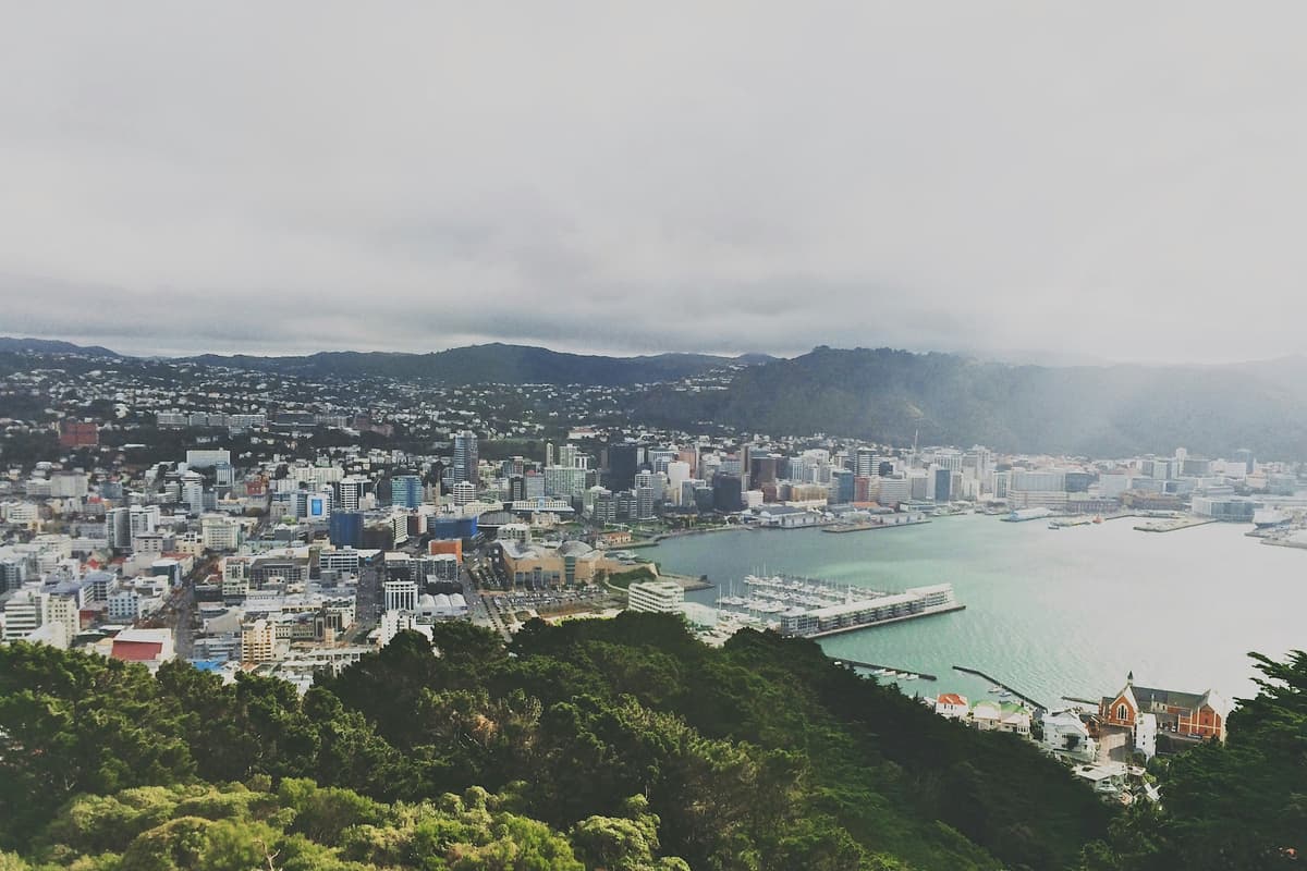 Wellington photo 3