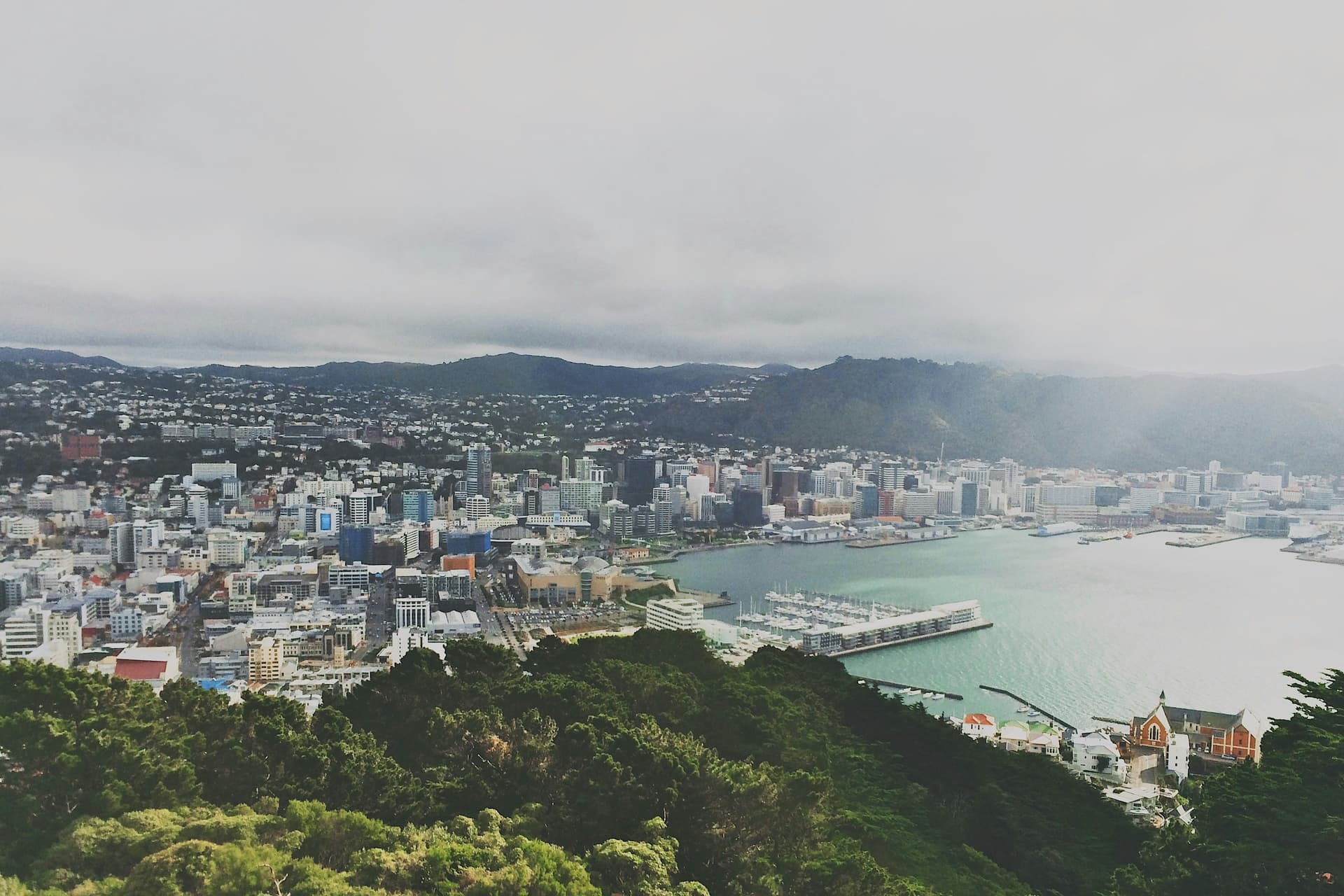 Wellington photo 3
