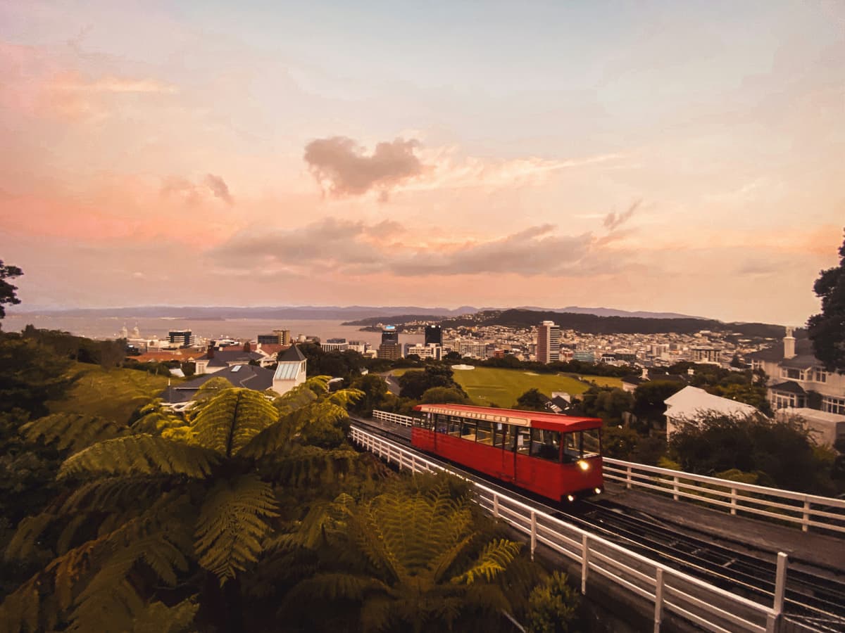 Wellington photo 4
