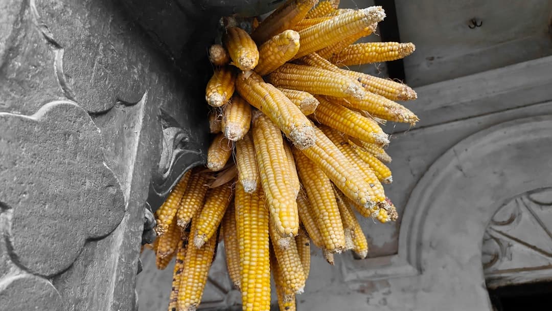 A Guide to the Best Sonipat Tourist Places photo 3