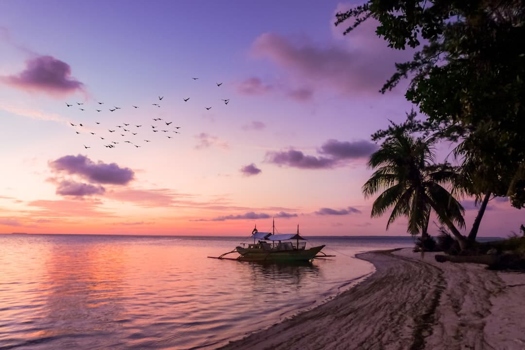 Phuket Province Travel Guide: Beaches, Old Town & Honest Tips photo 2