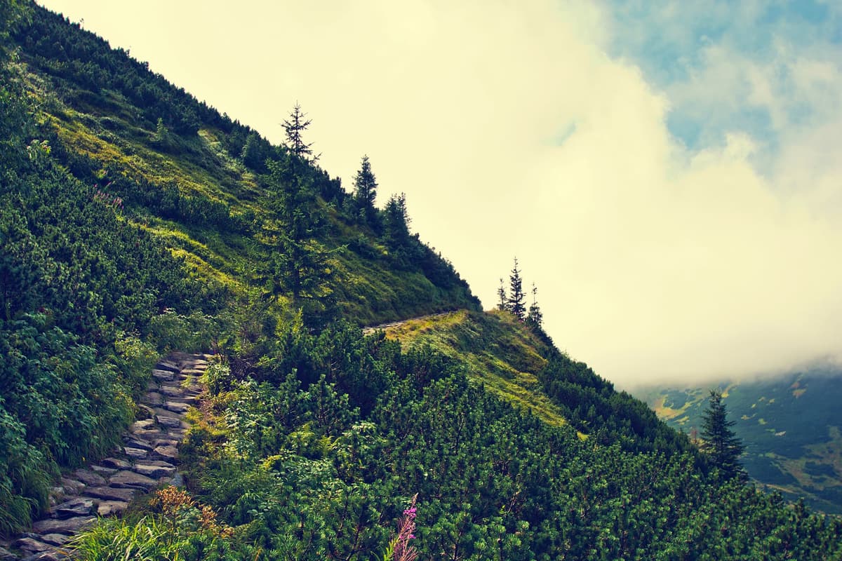 Hill Stations