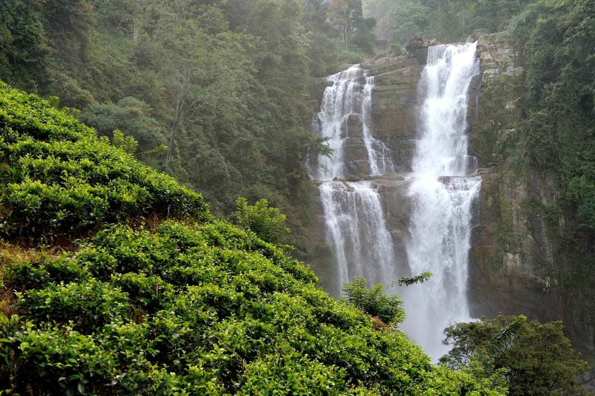 Waterfalls
