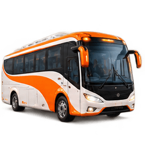 Buses