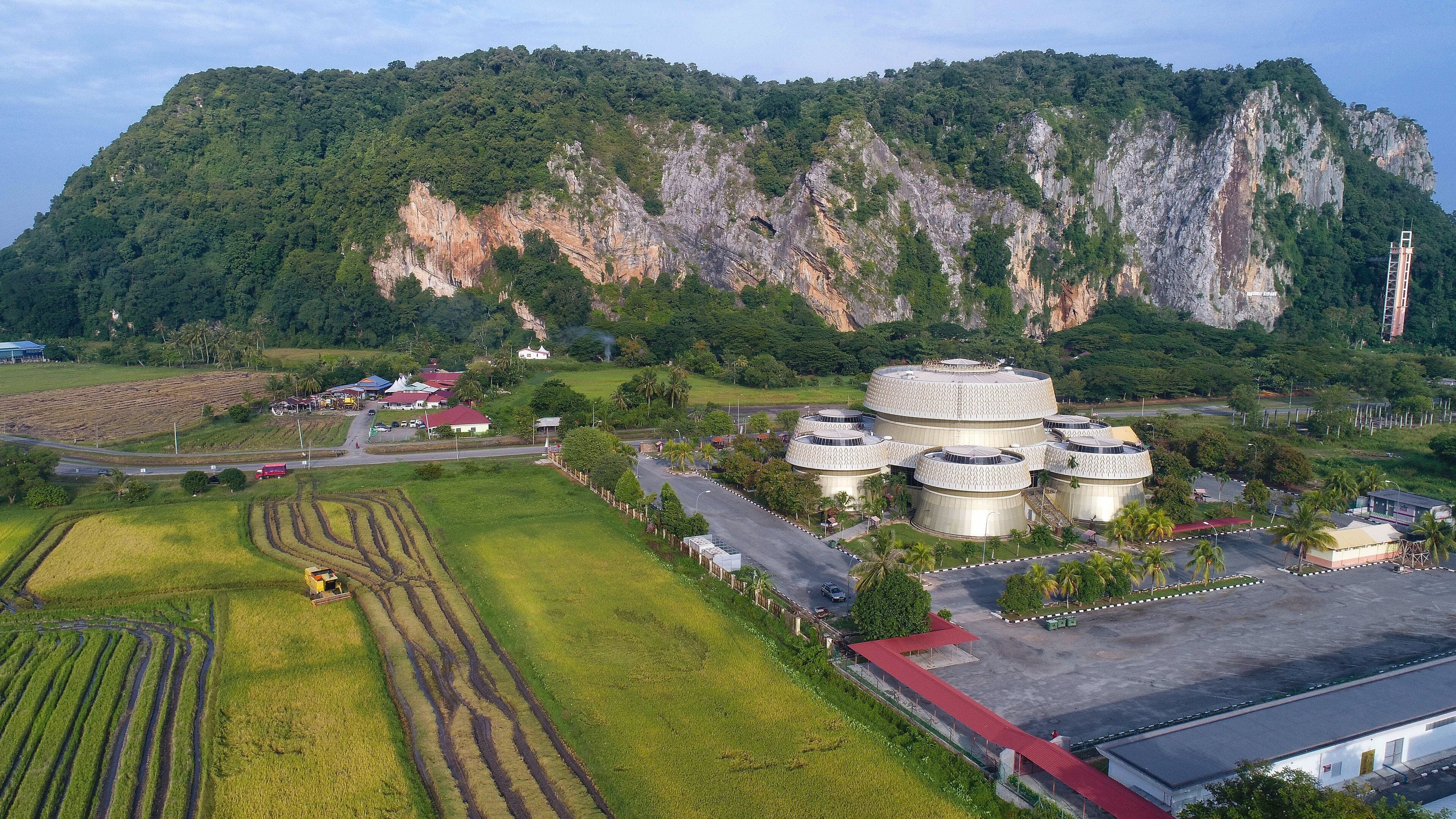 white and black cable car over green trees during daytime