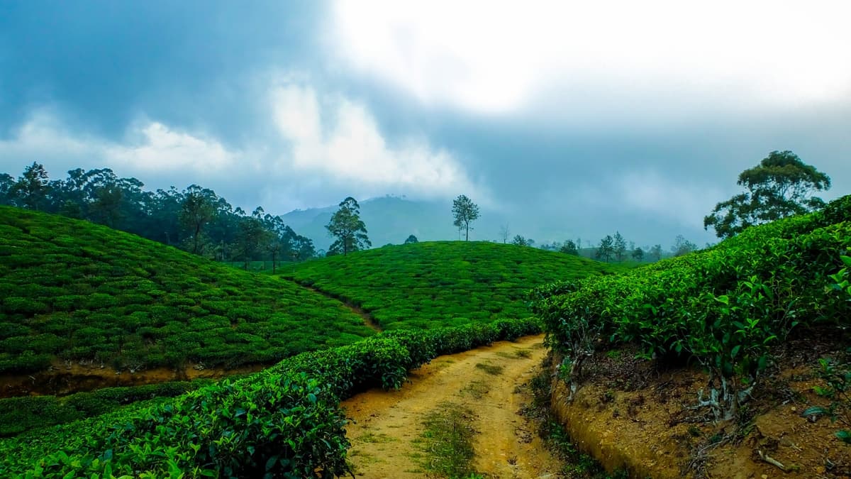 Thekkady
